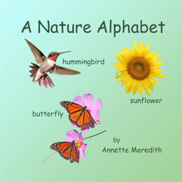 A Nature Alphabet (US)
