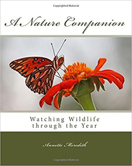 A Nature Companion