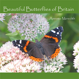 Beautiful Butterflies of Britain