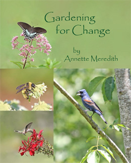 Gardening For Change