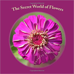 The Secret World of Flowers