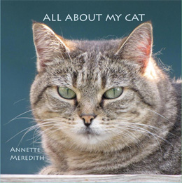 All About My Cat