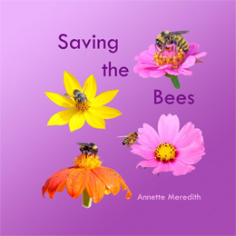 Saving the Bees